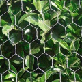 Professional PVC Fish Cage Hexagonal Wire Mesh